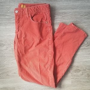 🎉HP🎉 Anthropologie Pilcro Salmon skinny jeans 29